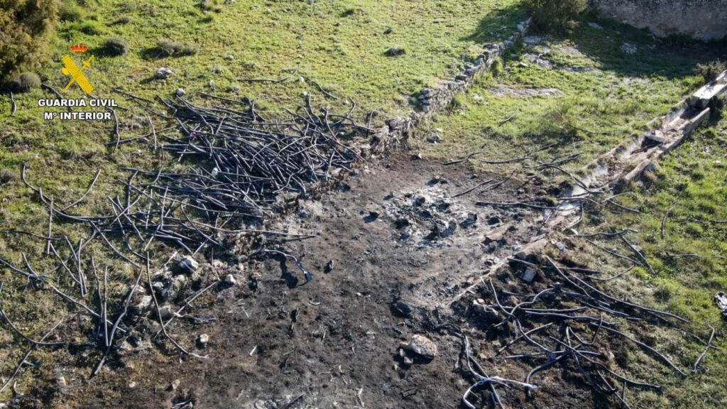 desarticulado grupo criminal guadalajara 5