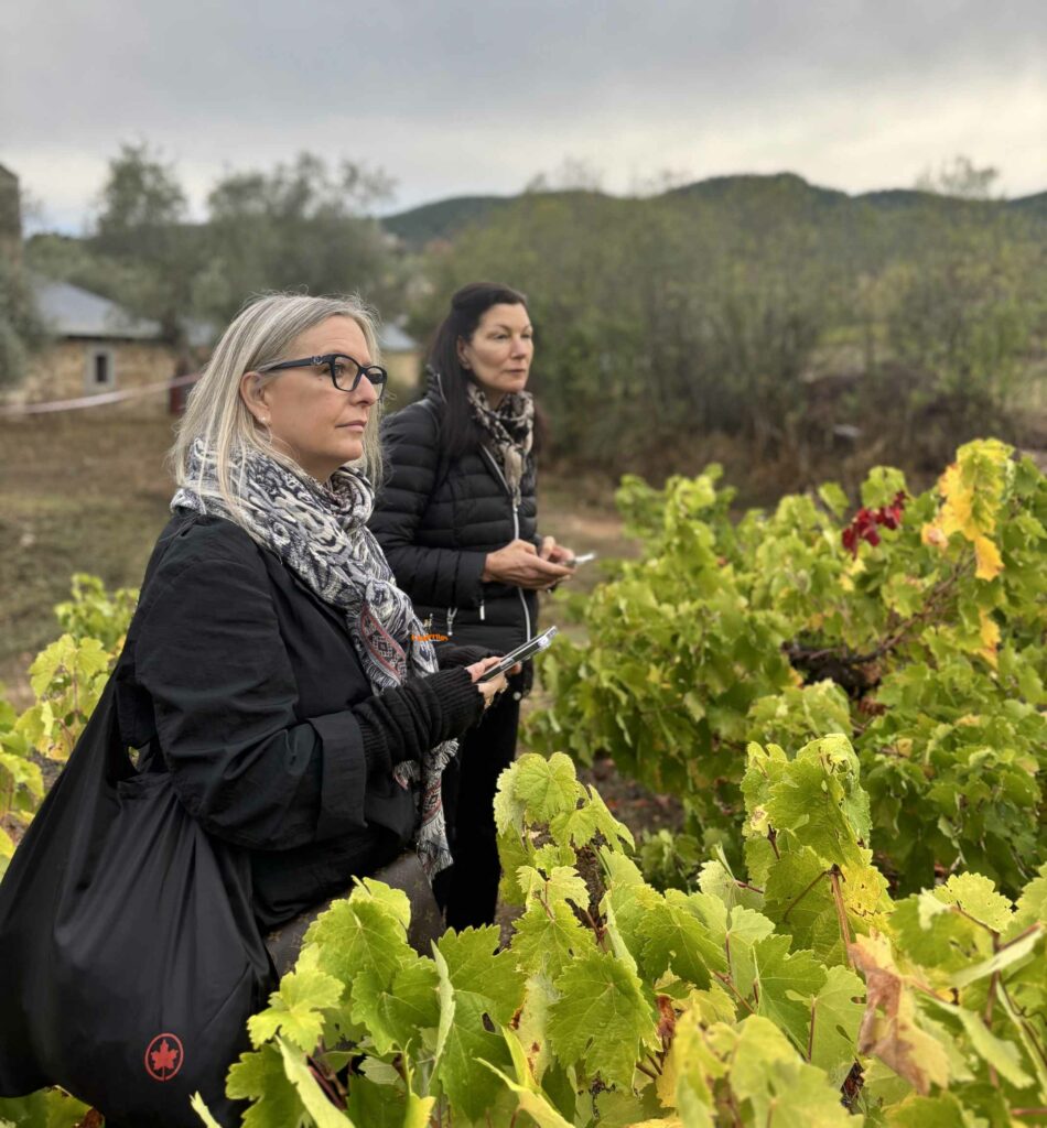 Exitalia coordina cinco misiones internacionales en menos de 60 días y consolida su liderazgo operativo en el sector vitivinícola 3 exitaliaalbacete 4