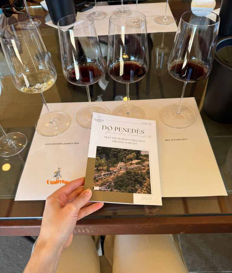 Exitalia coordina cinco misiones internacionales en menos de 60 días y consolida su liderazgo operativo en el sector vitivinícola 4 exitaliaalbacete 5