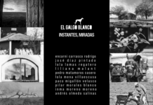 Argamasilla de Alba y Tomelloso se reúnen en la Exposición «Instantes, miradas» del Colectivo «El Galgo Blanco»