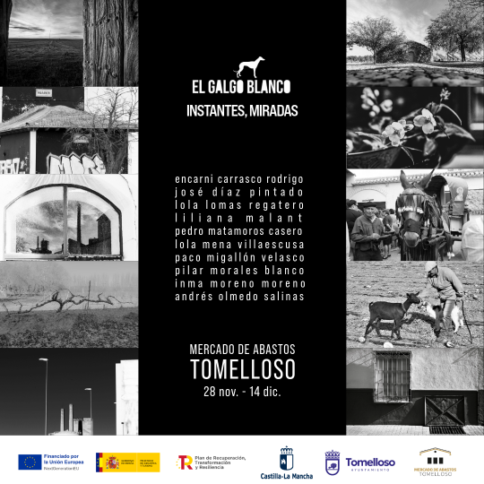 Argamasilla de Alba y Tomelloso Se reúnen en la Exposición 