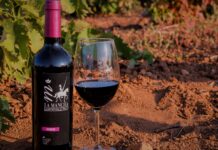 Solidaridad con sabor a vino: TEAcompañoCLM será la beneficiaria de la primera cata de «Raíces y Vino»