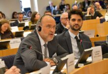 Castilla-La Mancha pide en el Parlamento Europeo el freno a la propuesta de Marco Financiero Plurianual y reivindica los Fondos de Cohesión para el medio rural