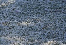 Heladas, nieve y descenso de las temperaturas: Previsión de José Antonio Maldonado, director de meteorología de Meteored, para el fin de semana