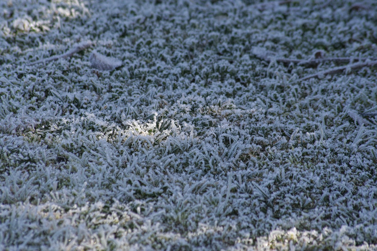 Heladas, nieve y descenso de las temperaturas: Previsión de José Antonio Maldonado, director de meteorología de Meteored, para el fin de semana