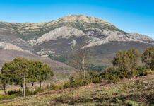 Operativo en alta montaña: un hombre es rescatado del Pico Ocejón en Guadalajara