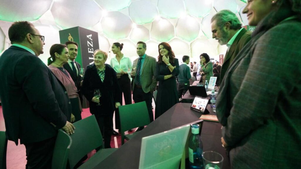 intur sabor quijote 3