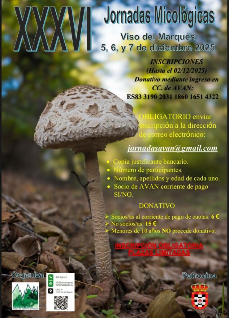 Las XXXVI Jornadas Micológicas de Viso del Marqués abren inscripciones hasta el 2 de diciembre