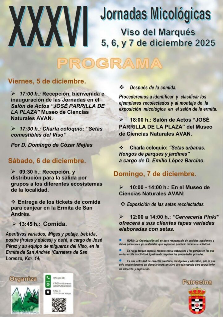 Las XXXVI Jornadas Micológicas de Viso del Marqués abren inscripciones hasta el 2 de diciembre