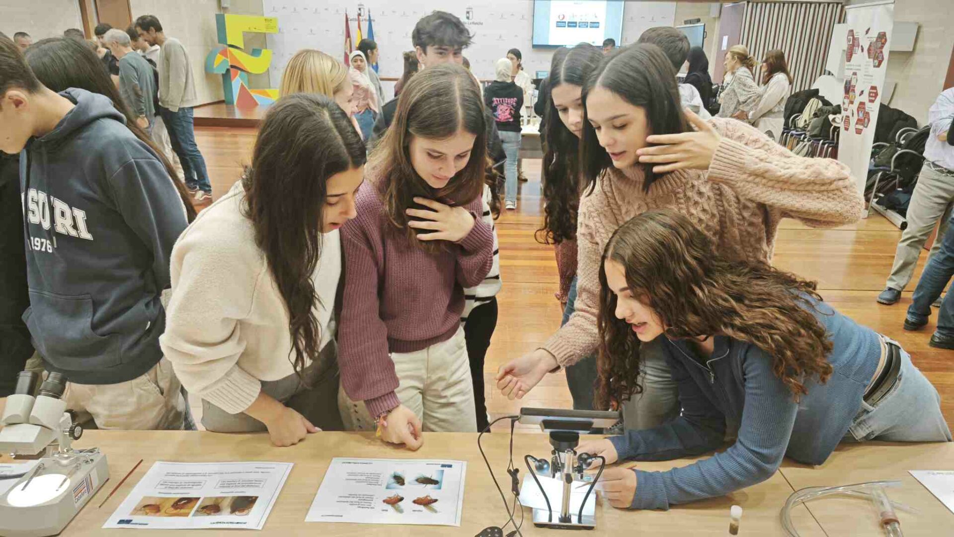 “Melanogaster Catch the Fly!”: El IES Eladio Cabañero, único proyecto de Secundaria invitado en la Semana de la Ciencia