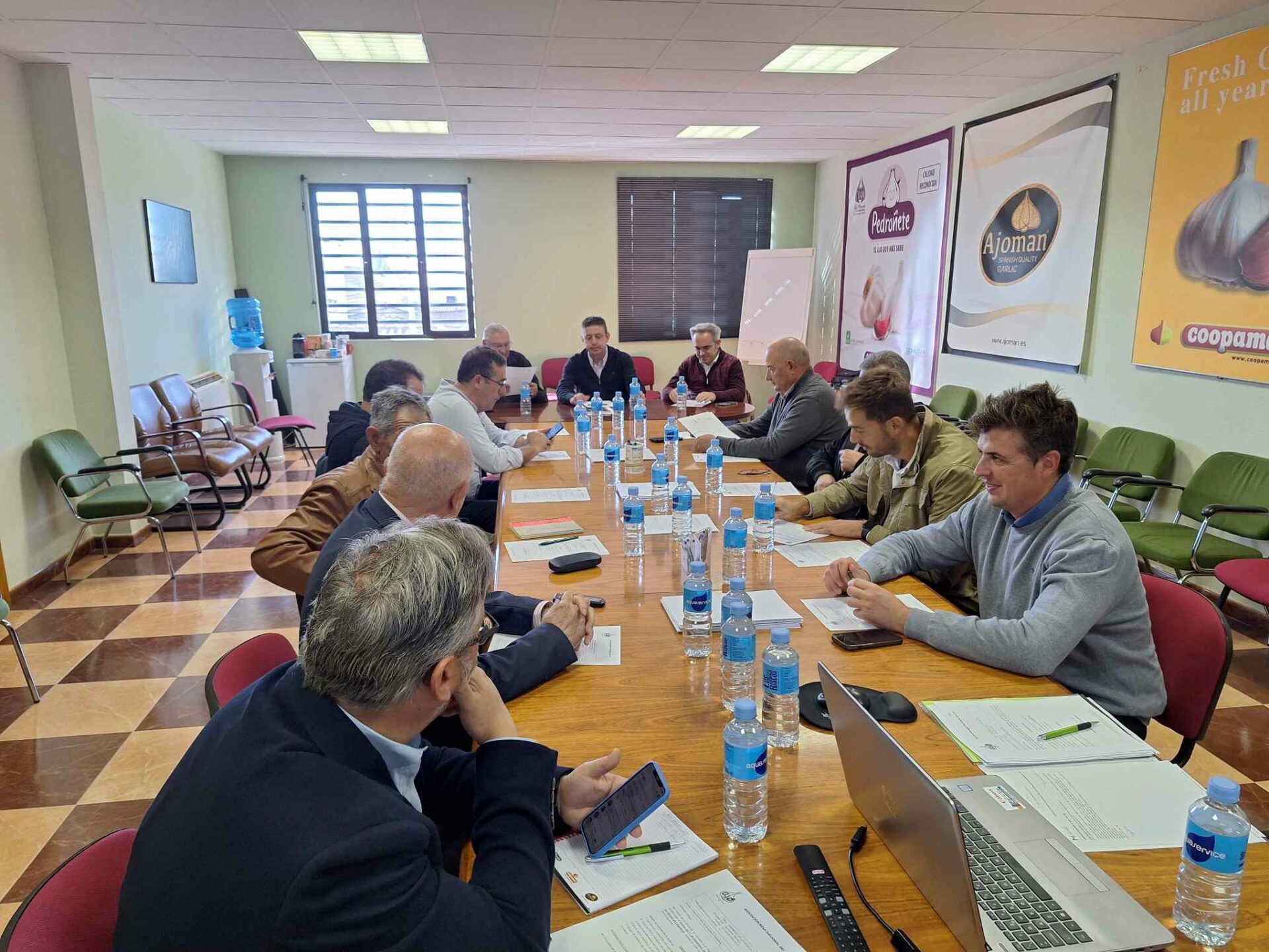 La Mesa Nacional del Ajo ve con preocupación el retroceso continuado del ajo español por su baja rentabilidad