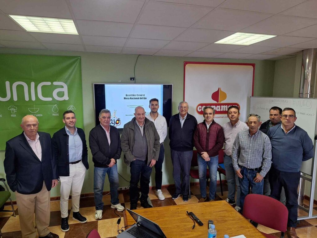 La Mesa Nacional del Ajo ve con preocupación el retroceso continuado del ajo español por su baja rentabilidad