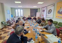 La Mesa Nacional del Ajo ve con preocupación el retroceso continuado del ajo español por su baja rentabilidad