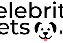 Nacen Celebrity Pets Awards, los galardones que homenajean a los animales y reconocen iniciativas y personas que promueven un vínculo más solidario