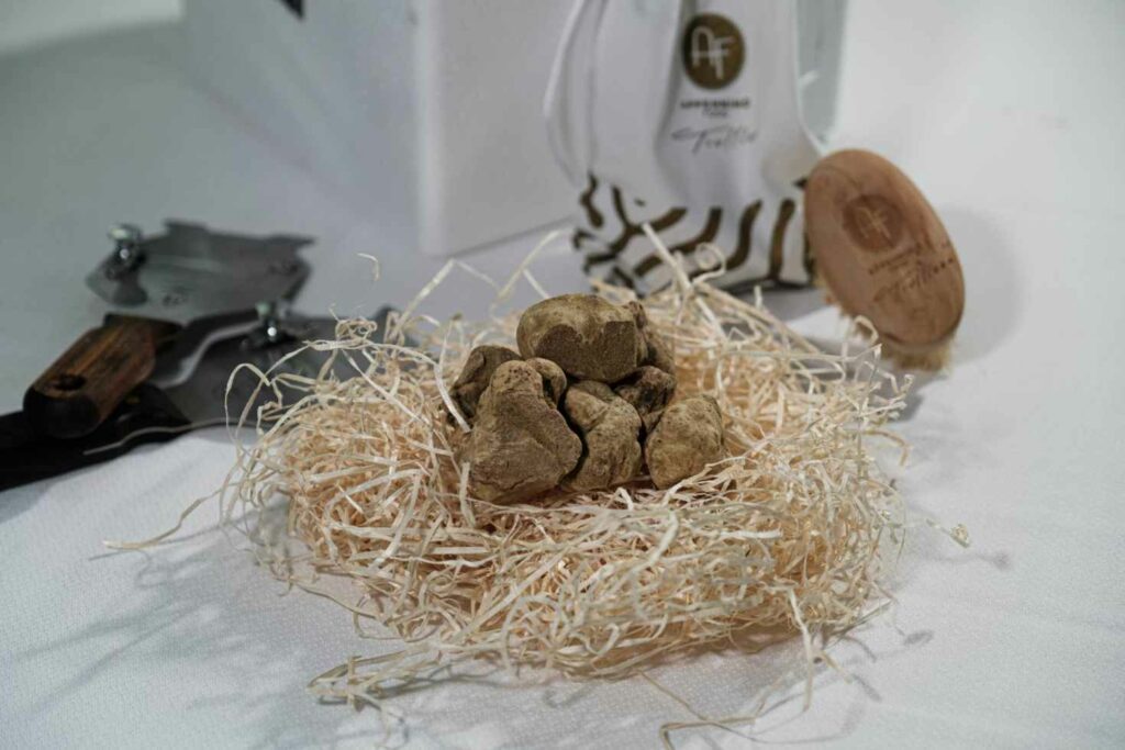 piuzza trufa blanca 3