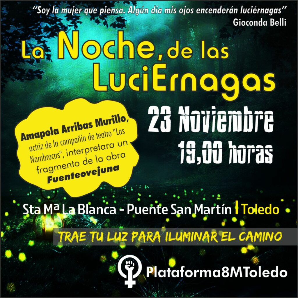 La Plataforma 8M de Toledo organiza actos reivindicativos para luchar contra la violencia de género en noviembre 2 plataforma8mtoledo 3