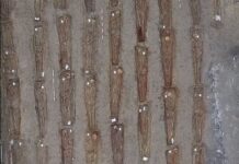 Los restos de Faustino Aguado Serrano serán entregados mañana por el Gobierno Vasco en el cementerio de Tomelloso