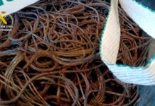 Golpe a la delincuencia: desarticulada banda de ladrones tras robar cobre por un valor de más de 50.000 euros en varias localidades