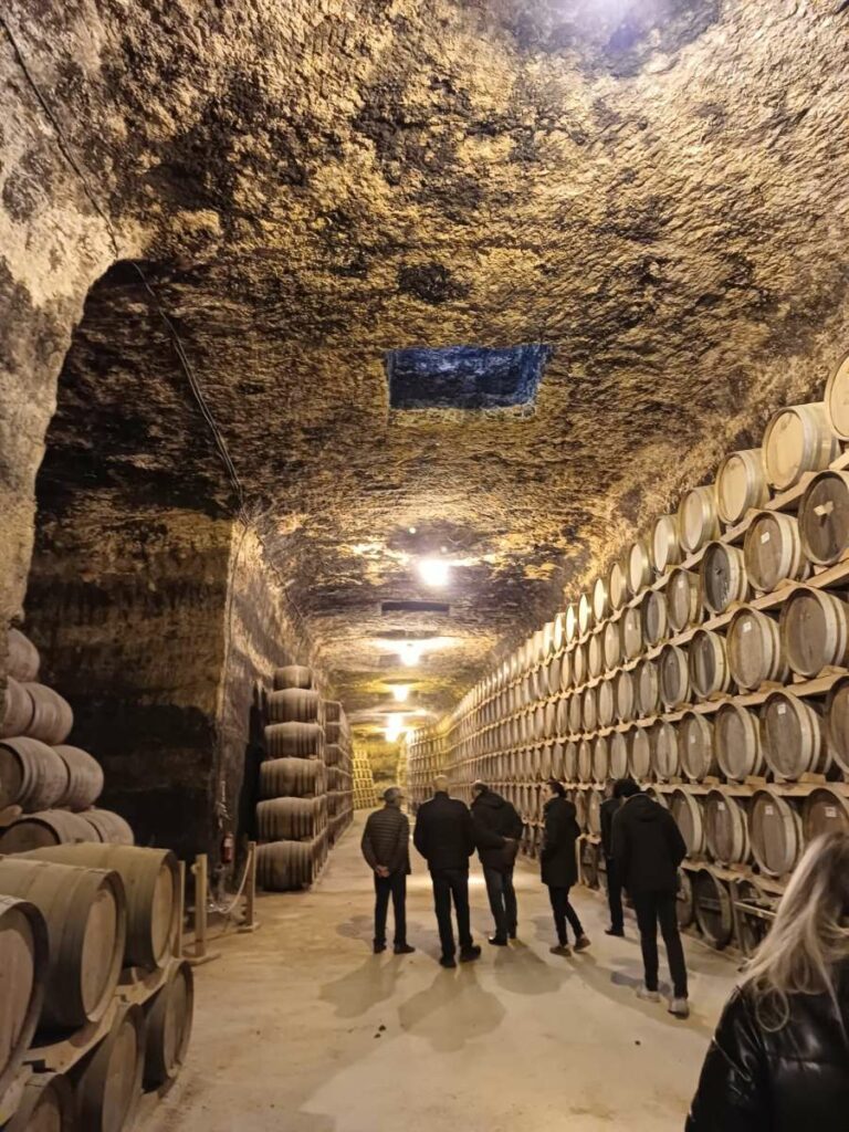 segundasjornadas sobre cuevas enologicas tomelloso 03