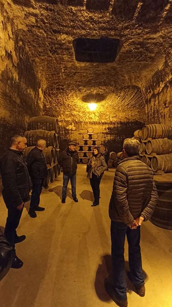 segundasjornadas sobre cuevas enologicas tomelloso 06