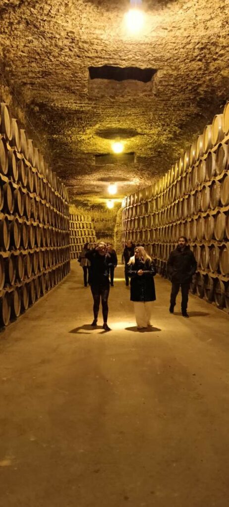 segundasjornadas sobre cuevas enologicas tomelloso 13