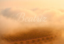Si tu nombre es Beatriz ¡No te lo pierdas!