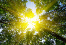 El tiempo en Castilla-La Mancha para hoy 11 de noviembre de 2025: previsión y alertas meteorológicas