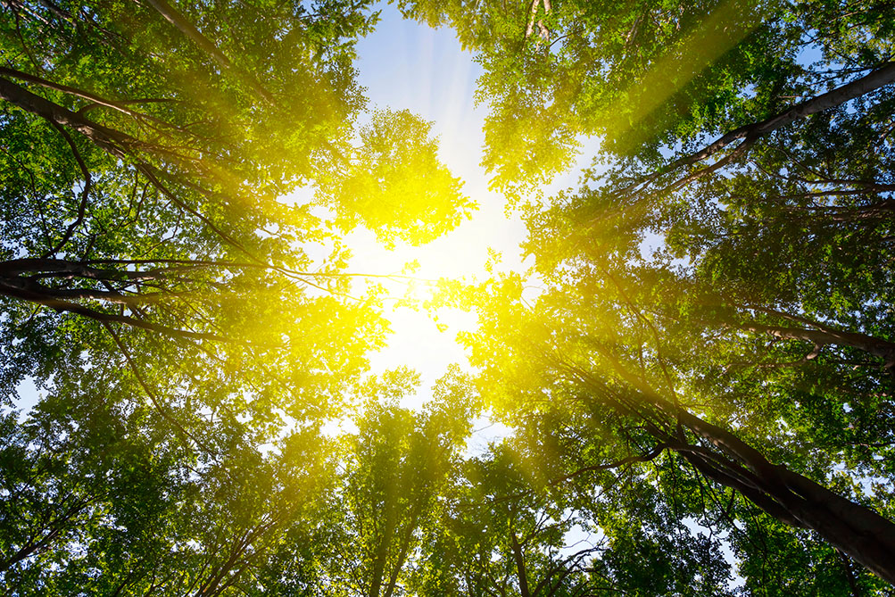 El tiempo en Castilla-La Mancha para hoy 11 de noviembre de 2025: previsión y alertas meteorológicas