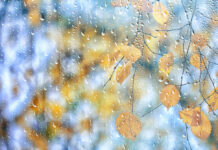 El tiempo en Castilla-La Mancha hoy 5 de noviembre: chubascos irregulares, bajada de temperaturas y avisos amarillos por tormentas en el Tajo y el Guadiana