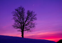 El tiempo en Castilla-La Mancha para hoy 26 de Noviembre: previsión meteorológica y alertas