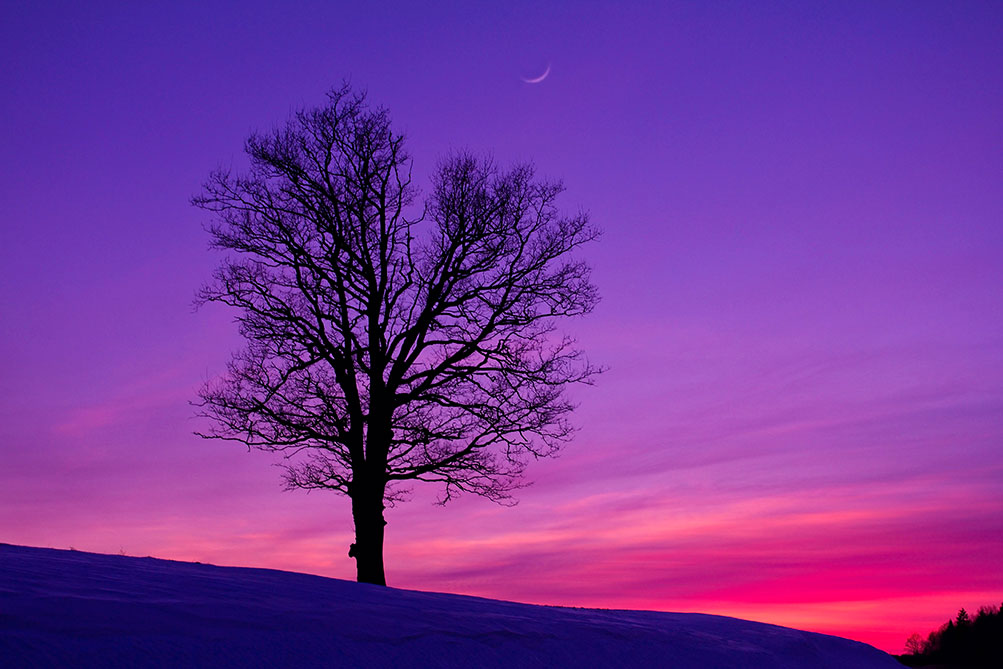 El tiempo en Castilla-La Mancha para hoy 26 de Noviembre: previsión meteorológica y alertas