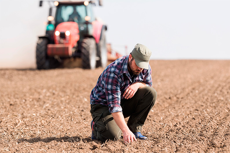 ASAJA Ciudad Real valora que la compensación del IVA no compute en el cálculo del límite de ingresos para la inclusión de los agricultores en el régimen de Módulos