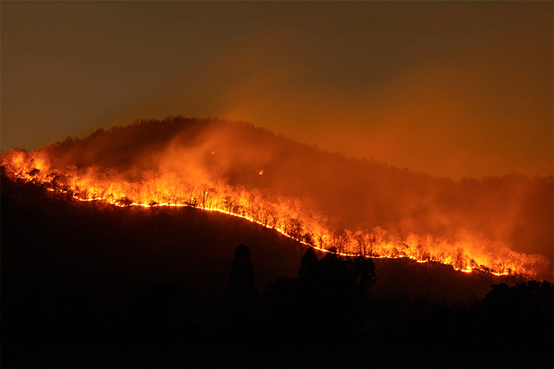 Iniciado hoy el pago de más de 972.000 euros en ayudas directas a agricultores y ganaderos de Castilla-La Mancha afectados por los grandes incendios forestales