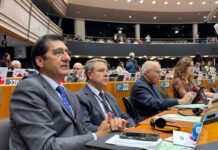 Castilla-La Mancha pide en Europa que se garantice a las regiones productoras de energía limpia desarrollo económico, suministro estable y un precio asequible para la ciudadanía