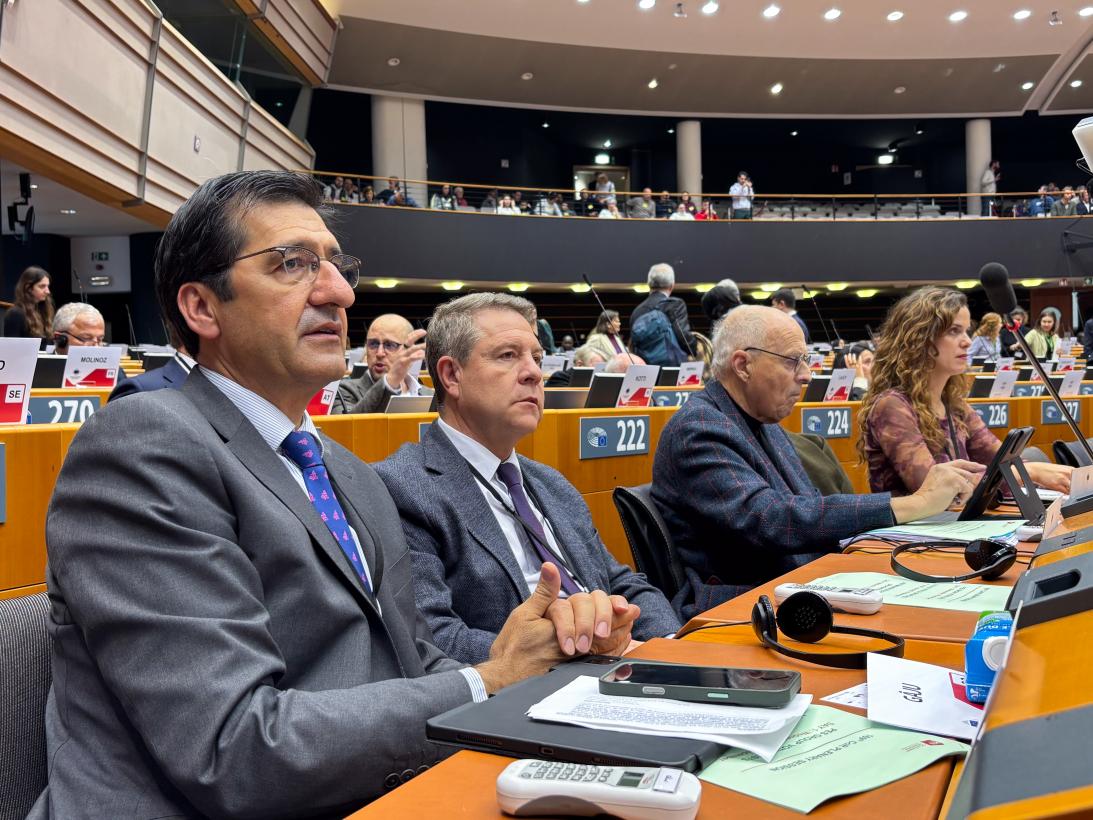 Castilla-La Mancha pide en Europa que se garantice a las regiones productoras de energía limpia desarrollo económico, suministro estable y un precio asequible para la ciudadanía