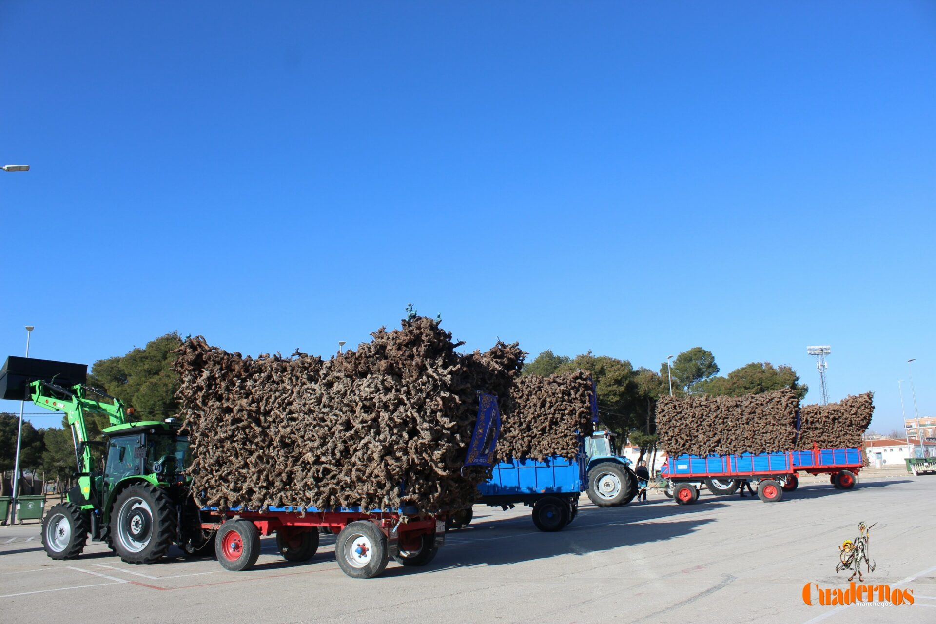 Publicados los concursos de las Fiestas de San Antón 2026 con más de 800 € en premios