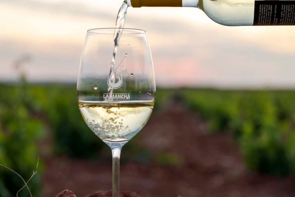 Satisfacción en el Consejo Regulador tras el ‘Día del Airén’ 2025 1 diadelairen2025 2