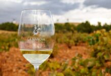 Satisfacción en el Consejo Regulador tras el ‘Día del Airén’ 2025