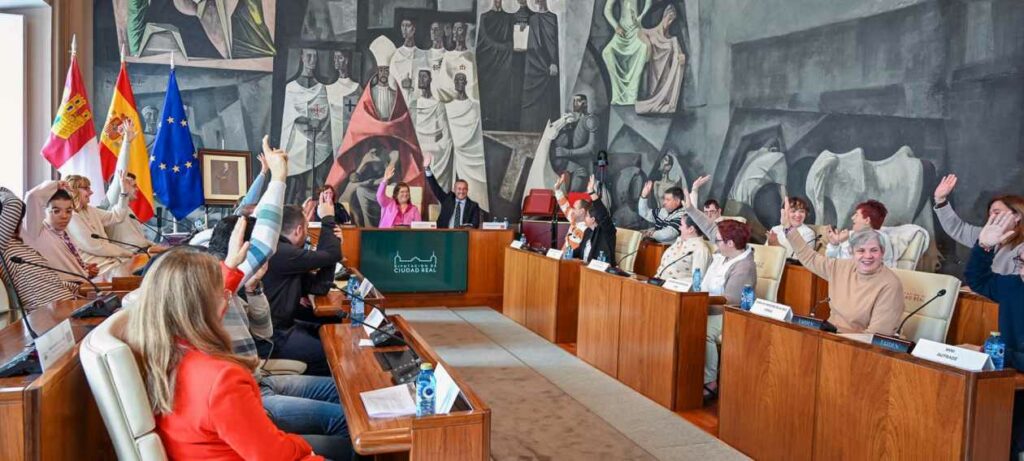 diputacion voz discapacidad