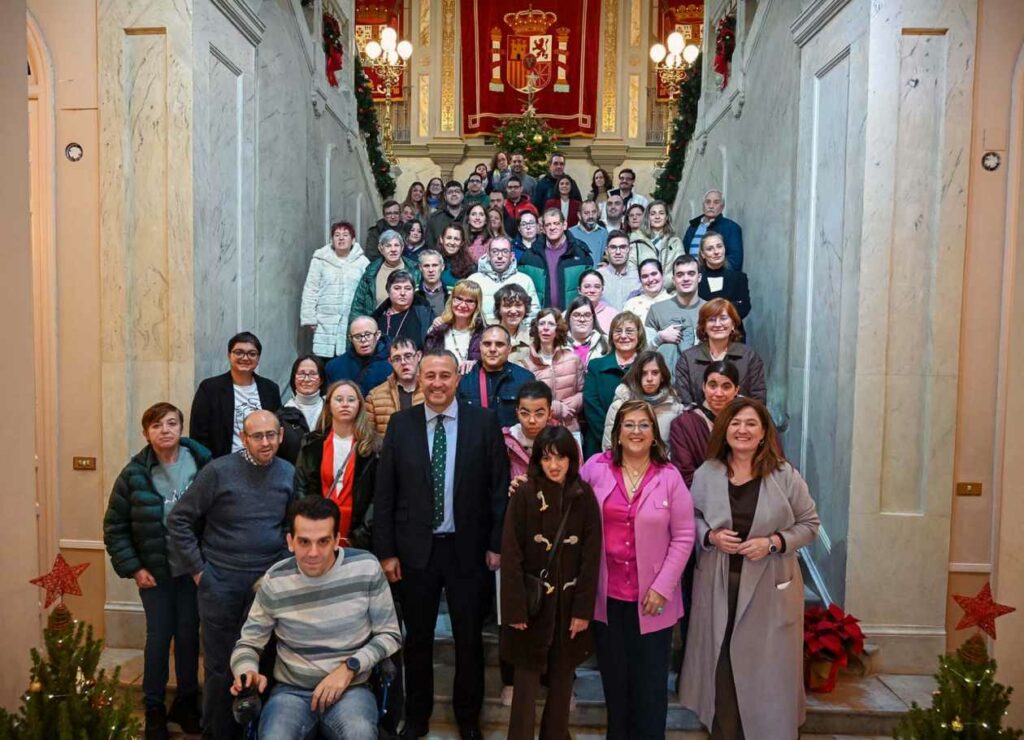 diputacion voz discapacidad 2