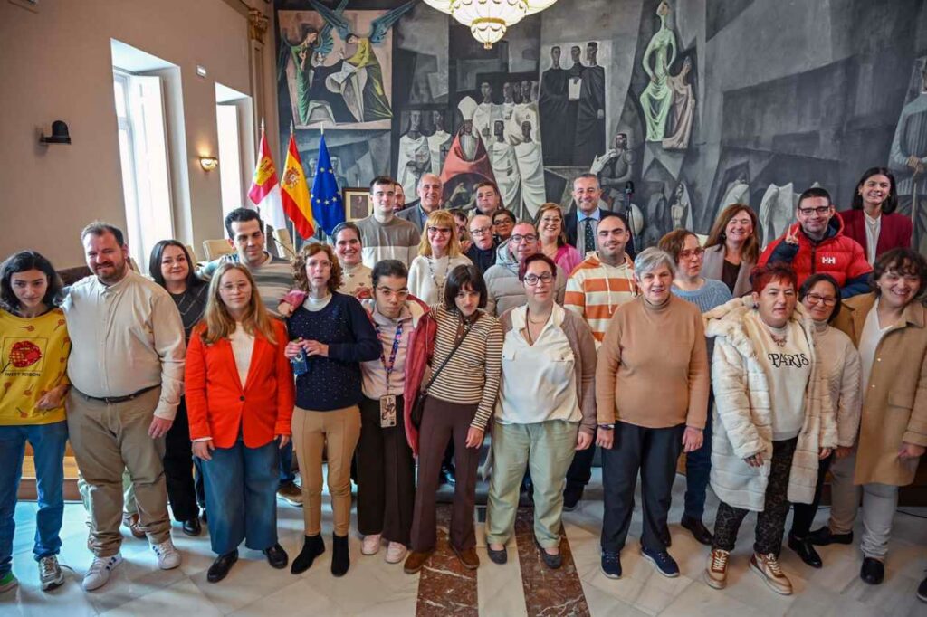 diputacion voz discapacidad 4