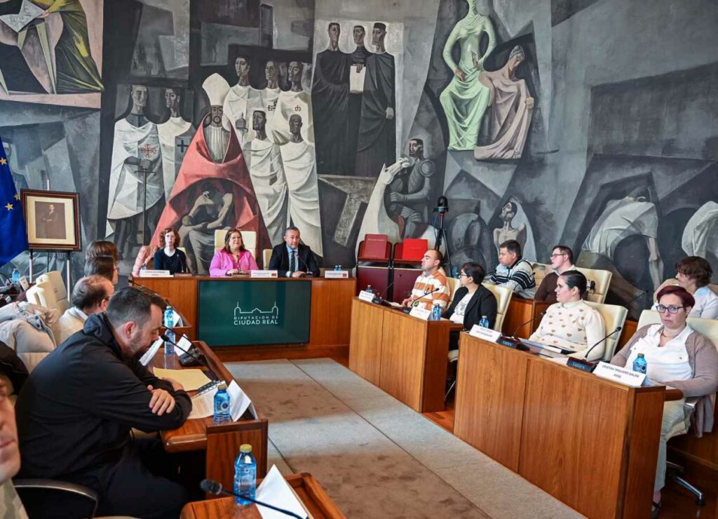 diputacion voz discapacidad 5