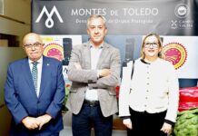 Eurocaja Rural, JCCM y DOP Montes de Toledo presentan los AOVE de la nueva cosecha