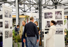 La exposición del colectivo “El Galgo Blanco” ya luce en el Mercado de Abastos de Tomelloso