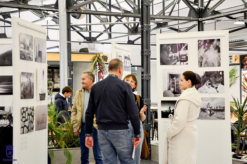La exposición del colectivo “El Galgo Blanco” ya luce en el Mercado de Abastos de Tomelloso