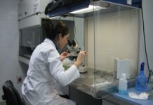 El IRIAF refuerza su tarea investigadora con la convocatoria de nuevas plazas en el marco de proyectos específicos de I+D