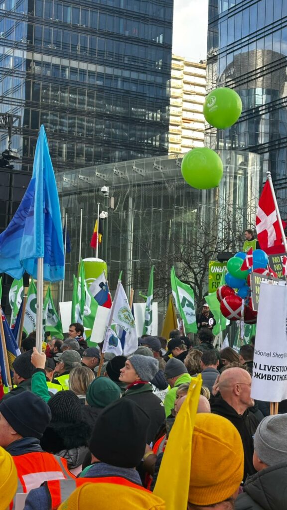 El campo español dice “basta” ante la UE: “No se nos puede pedir más sacrificios por menos” 7 manifestacion bruselas asaja 19