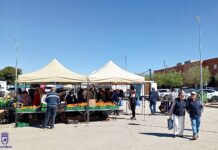 El mercadillo de Tomelloso abrirá este lunes 8 de diciembre