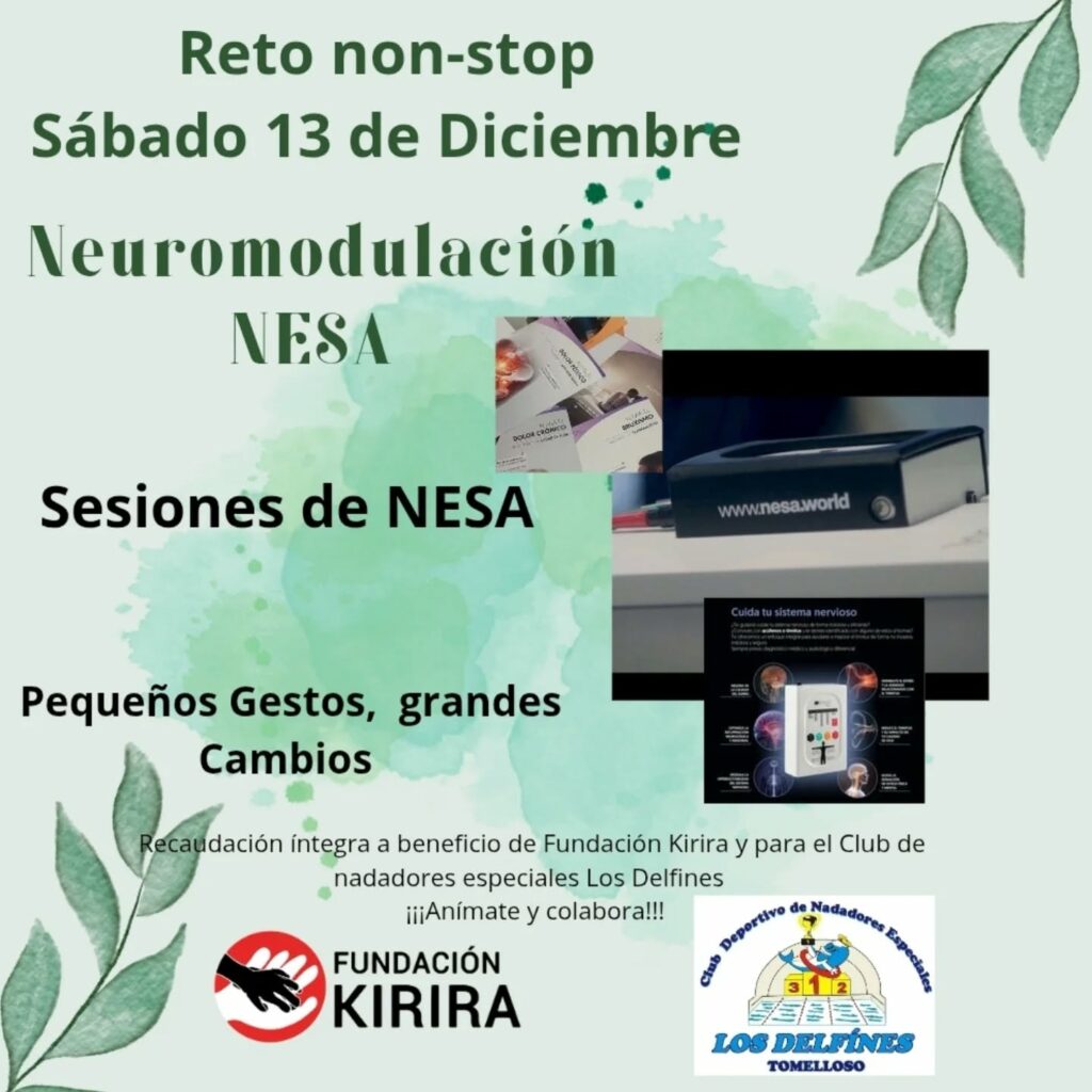 nesa