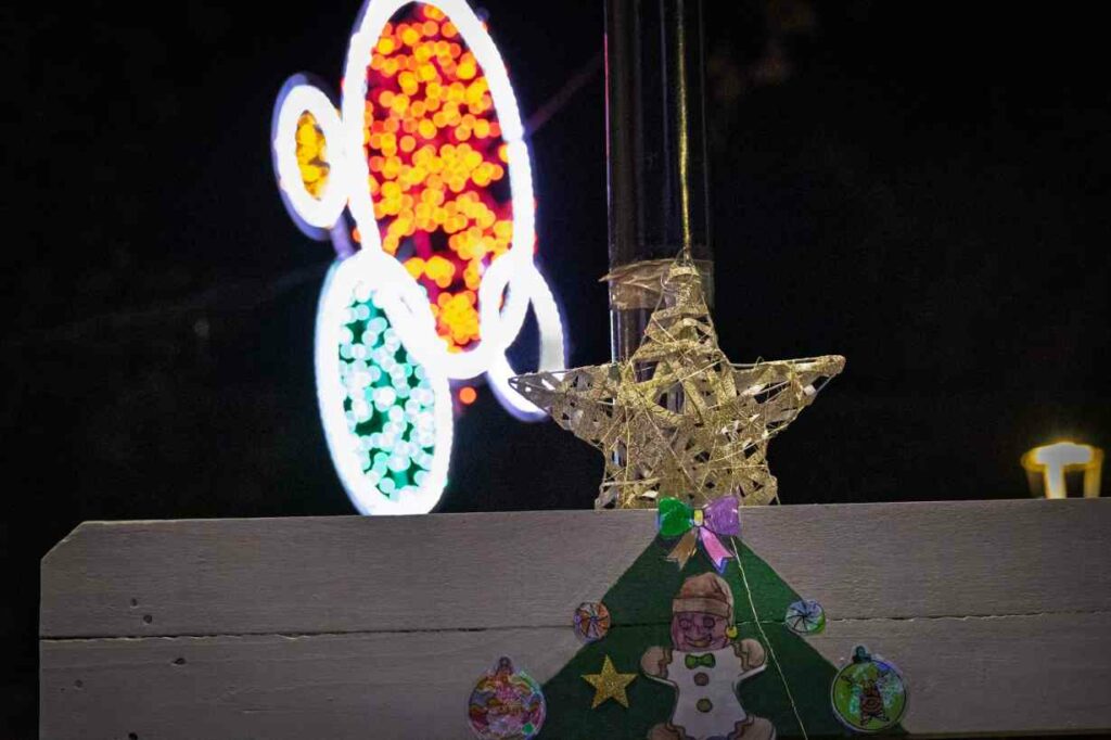 El Paseo Navideño en Argamasilla de Alba toma la Glorieta con árboles únicos hechos a mano y un mensaje común: Navidad para todos 13 paseonavideno navidad para todos 13